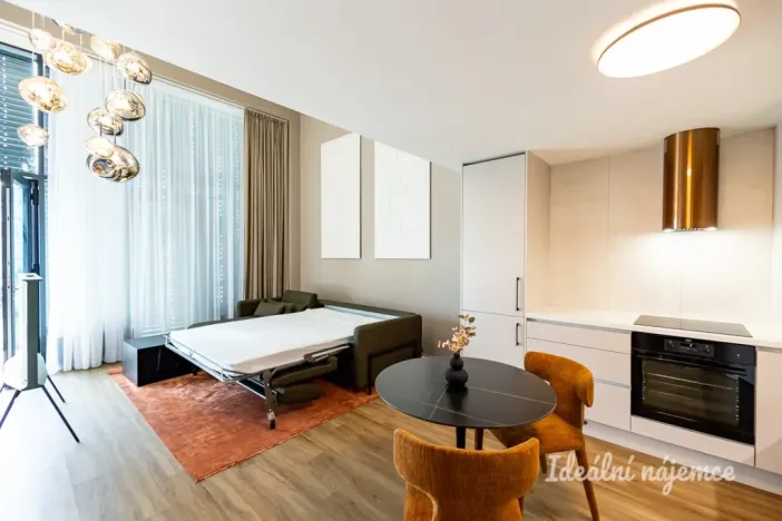 Pronájem bytu 1+kk, Praha - Holešovice, V háji, 43 m2