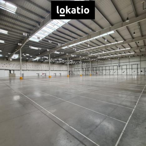 Pronájem skladu, Rudná, 7146 m2