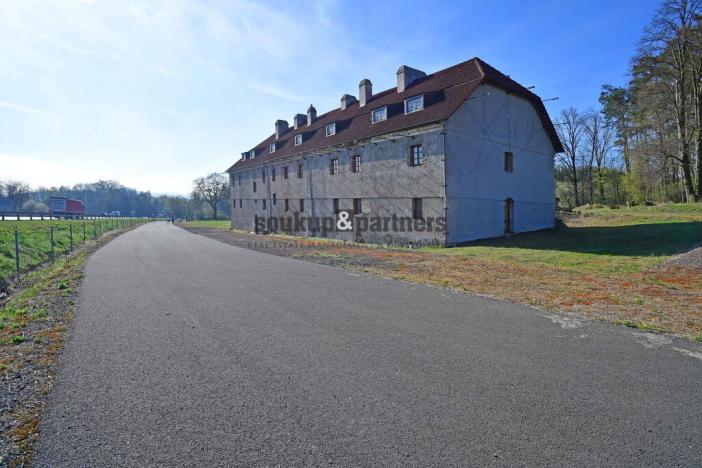 Pronájem pozemku, Divišov - Šternov, 19144 m2