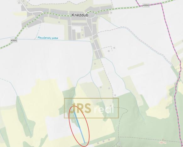 Prodej pole, Kněždub, 7019 m2