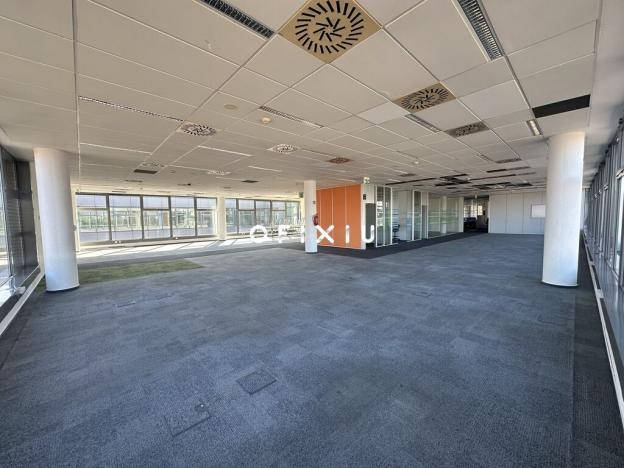 Pronájem kanceláře, Brno - Královo Pole, Technická, 500 m2