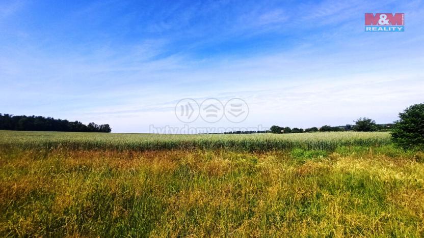 Prodej pole, Měnín, 31465 m2