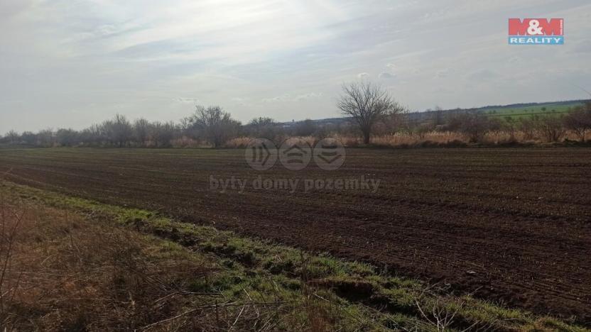 Prodej pole, Pasohlávky, 5910 m2