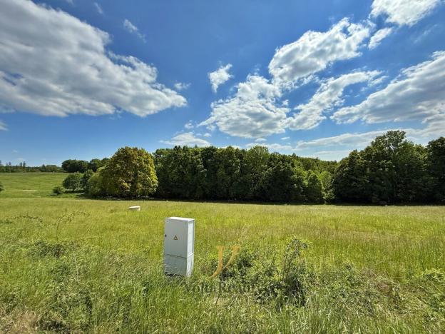 Prodej komerčního pozemku, Hlubočky, 44238 m2