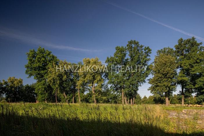 Prodej zemědělského objektu, Pištín, 200 m2