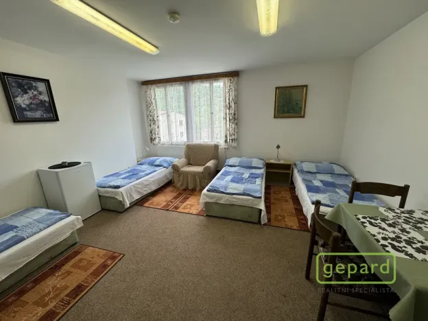 Prodej ubytování, Český Krumlov - Nové Spolí, Tichá, 800 m2