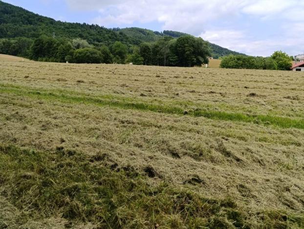 Prodej pozemku pro bydlení, Lichnov, 1482 m2