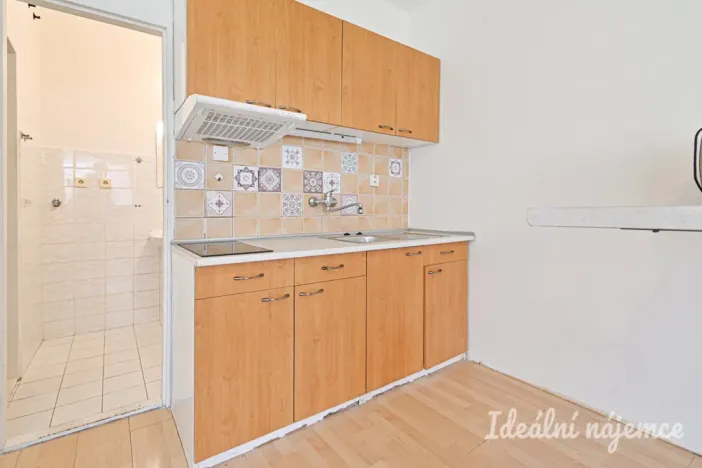 Pronájem bytu 1+kk, Brno - Líšeň, bratří Sapáků, 29 m2