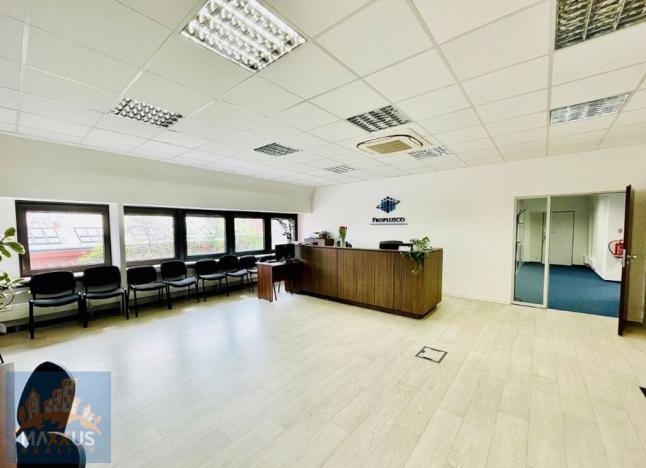 Pronájem kanceláře, Praha - Hradčany, Milady Horákové, 900 m2