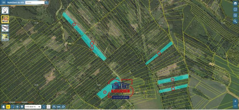 Prodej lesa, Jevíčko, 70821 m2