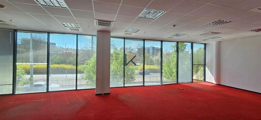 Pronájem obchodního prostoru, Praha - Libeň, Českomoravská, 1642 m2