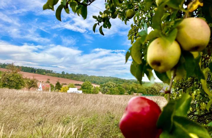 Prodej pozemku pro bydlení, Blšany - Malá Černoc, 1500 m2