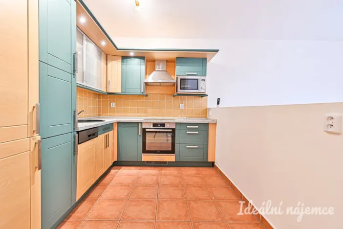 Pronájem bytu 1+kk, Brno - Staré Brno, Vodní, 60 m2