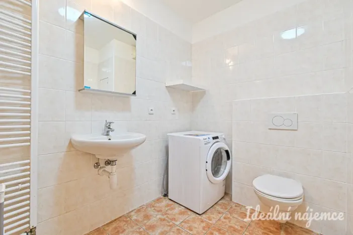 Pronájem bytu 1+kk, Brno - Staré Brno, Vodní, 60 m2