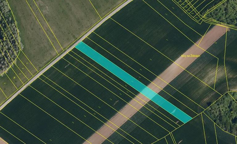 Prodej pole, Šitbořice, 31279 m2