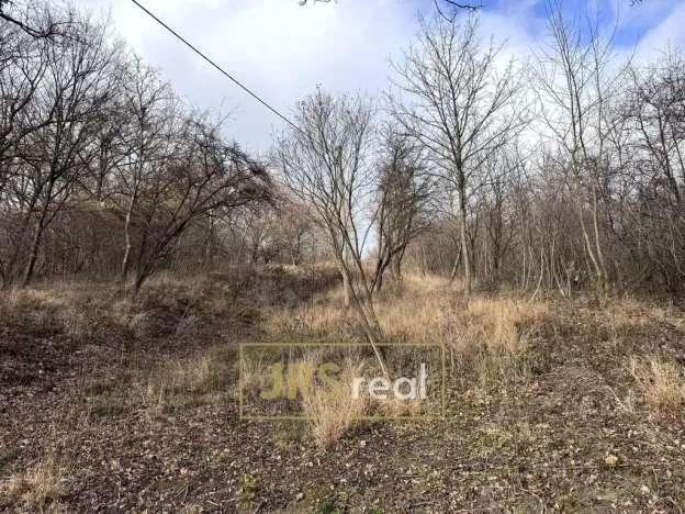 Prodej zahrady, Kroměříž - Zlámanka, 8821 m2