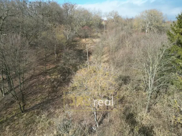 Prodej zahrady, Kroměříž - Zlámanka, 8821 m2