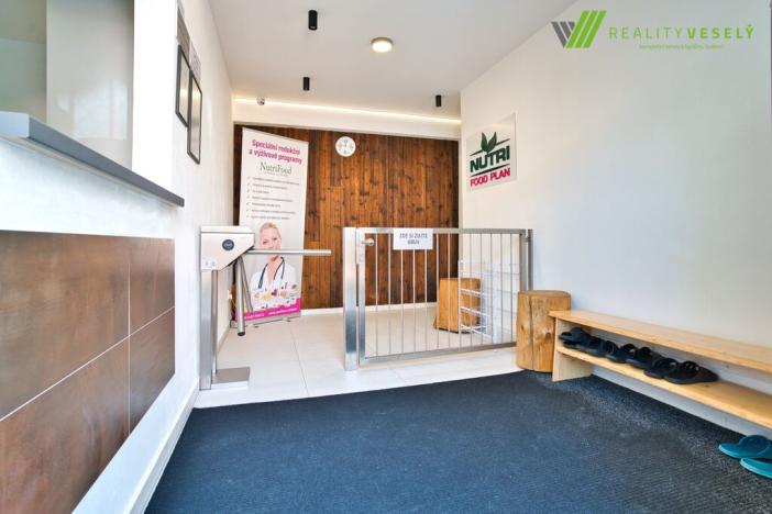 Prodej komerční nemovitosti, Veselí nad Moravou, Národních mučedníků, 391 m2