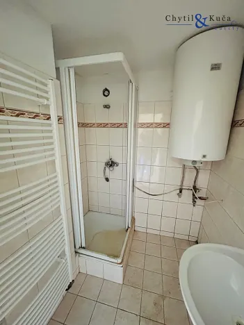 Prodej vícegeneračního domu, Pavlovice u Kojetína, 300 m2