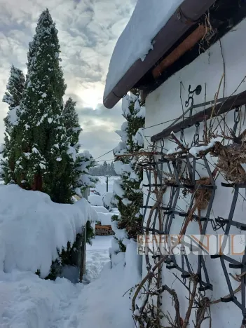 Prodej chalupy, Kolinec, 99 m2