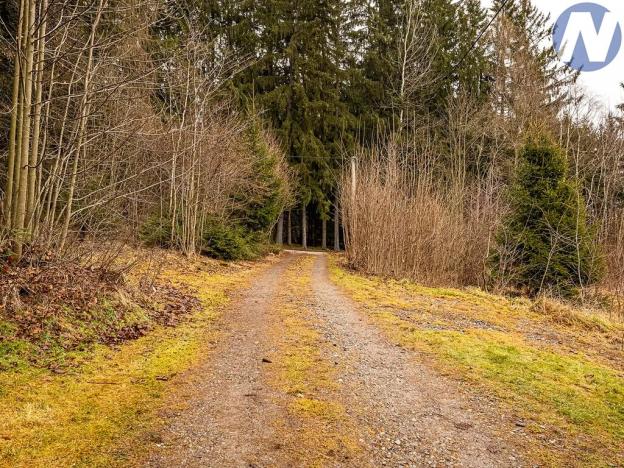 Prodej rodinného domu, Zdíkov, 263 m2