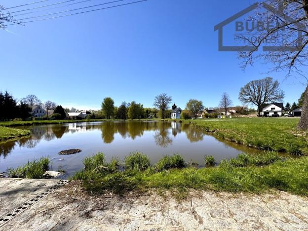 Prodej rodinného domu, Bor - Doly, 280 m2