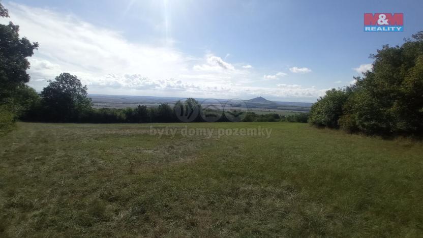 Prodej louky, Jenčice, 13227 m2