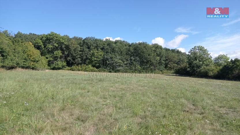 Prodej louky, Jenčice, 13227 m2