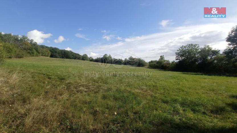 Prodej louky, Jenčice, 13227 m2