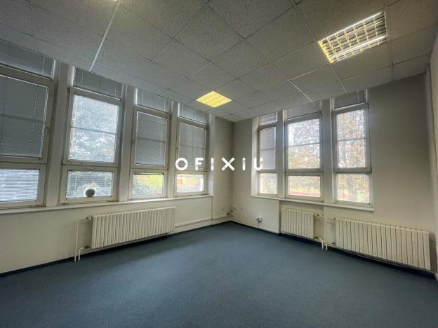 Pronájem kanceláře, Brno - Ponava, Šumavská, 500 m2