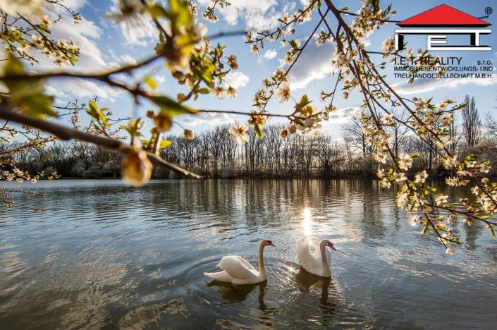 Prodej bytu 3+kk, Brno - Holásky, 90 m2