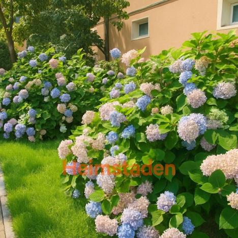 Pronájem bytu 2+1, Havířov - Město, Třeneckého, 49 m2