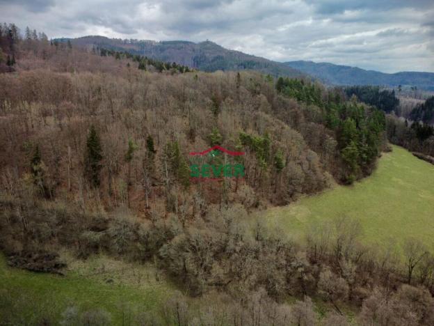 Prodej lesa, Stráž nad Ohří, 36852 m2