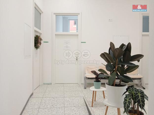 Pronájem obchodního prostoru, Opava - Město, Masarykova třída, 50 m2