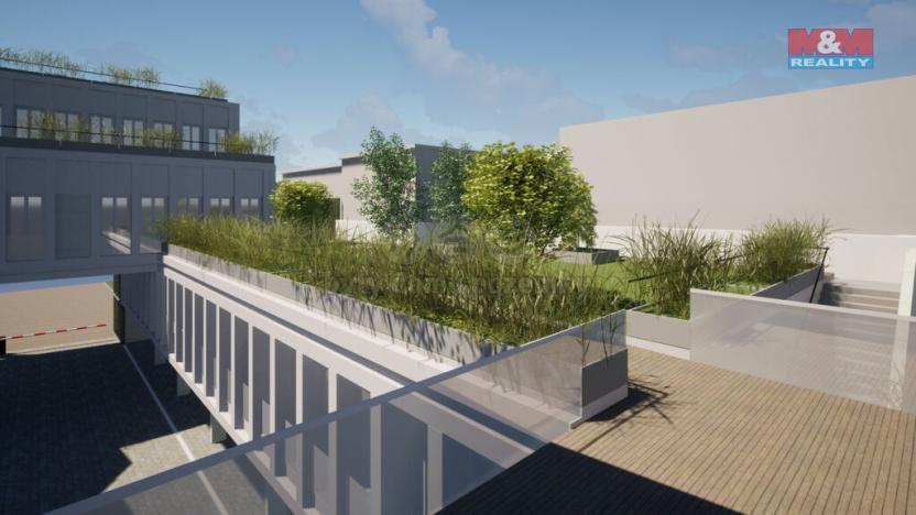 Prodej obchodního prostoru, Opava - Město, Masarykova třída, 120 m2