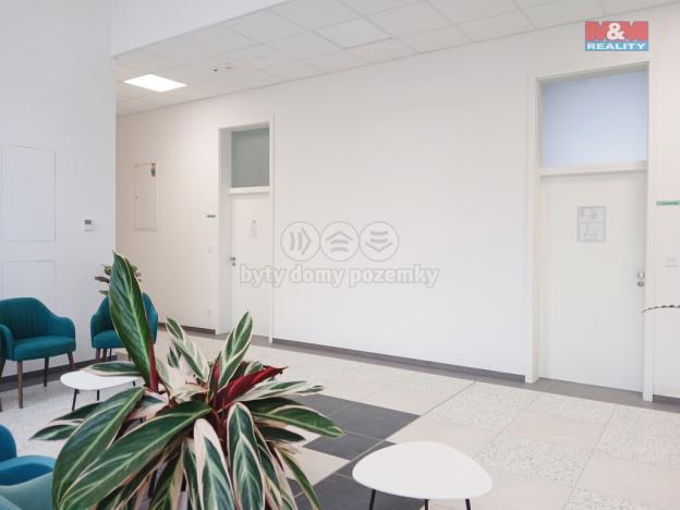 Prodej obchodního prostoru, Opava - Město, Masarykova třída, 80 m2