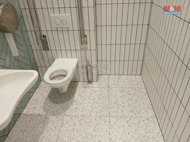 Prodej obchodního prostoru, Opava - Město, Masarykova třída, 20 m2