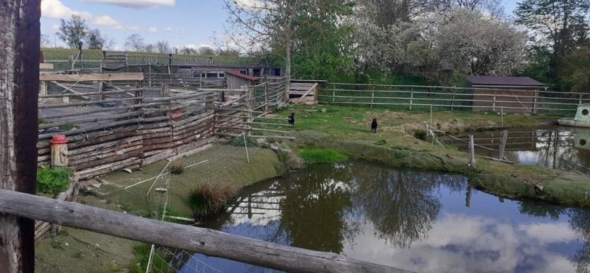 Prodej zemědělské usedlosti, Drhovle - Mladotice, 270 m2