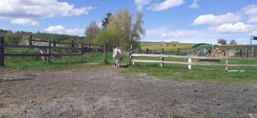 Prodej zemědělské usedlosti, Drhovle - Mladotice, 270 m2