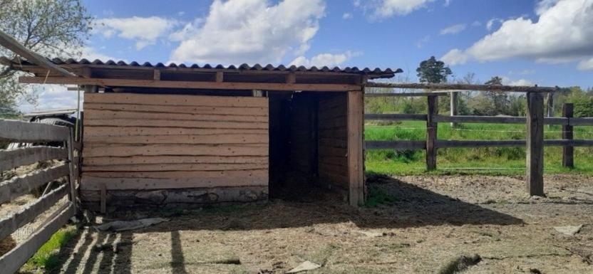 Prodej zemědělské usedlosti, Drhovle - Mladotice, 270 m2