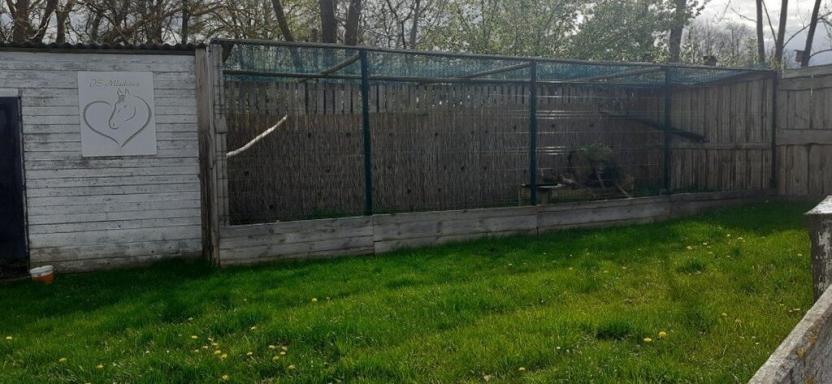 Prodej zemědělské usedlosti, Drhovle - Mladotice, 270 m2