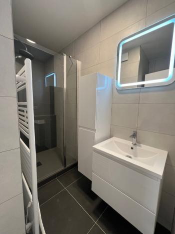 Pronájem bytu 2+1, České Budějovice - České Budějovice 2, V. Talicha, 65 m2