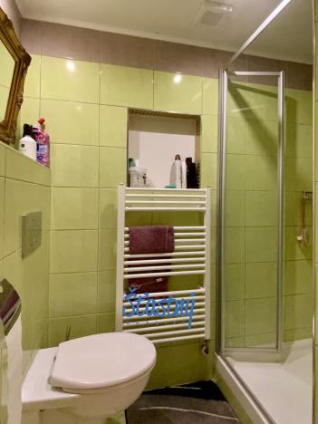 Prodej chalupy, Špindlerův Mlýn, 460 m2