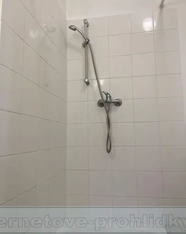 Pronájem pokoje, Praha - Kobylisy, Bořanovická, 14 m2
