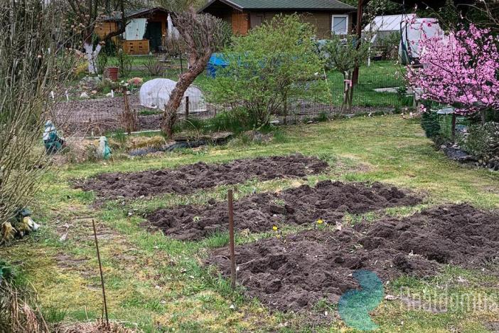 Prodej zahrady, Pardubice, 387 m2