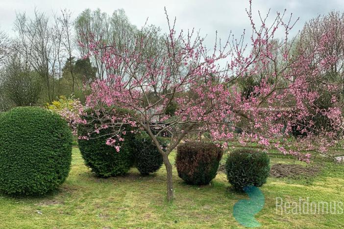 Prodej zahrady, Pardubice, 387 m2