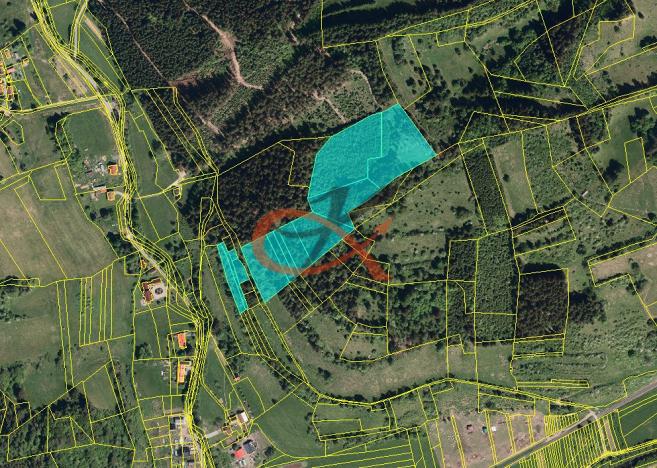 Prodej lesa, Nový Hrozenkov, 36473 m2