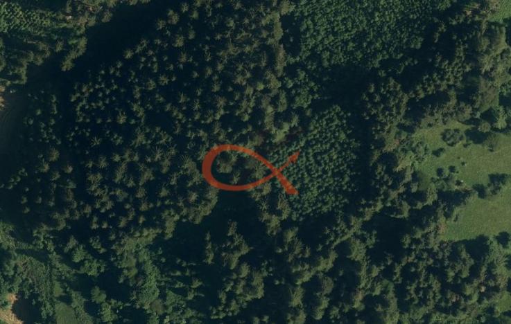 Prodej lesa, Nový Hrozenkov, 36473 m2