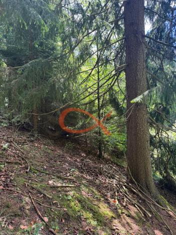 Prodej lesa, Nový Hrozenkov, 36473 m2