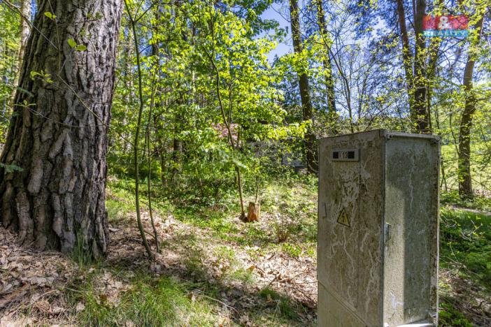 Prodej zahrady, Sloup v Čechách, Hřbitovní, 487 m2